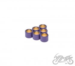ROLKI WARIATORA 17X13,5 6,5G DO TGB