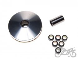 WARIATOR DO SUZUKI AG 50