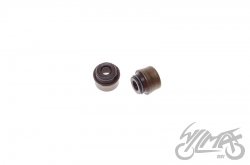 USZCZELNIACZ ZAWOROWY PIAGGIO FLY 125 4T KPL 4.5mm