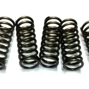 JR EBS SPRĘŻYNY SPRZĘGŁOWE HONDA CB450/500, CMX450, FT500, XL500/600, TRIUMPH BONNEVILLE 800/865 DAYTONA 650/1000, SCRAMBLER 865, SPEEDMASTER 800/865, TROPHY 1200